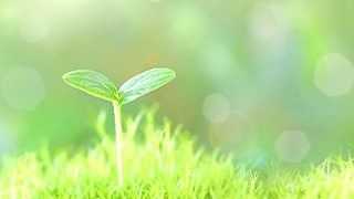 何とか間に合った。